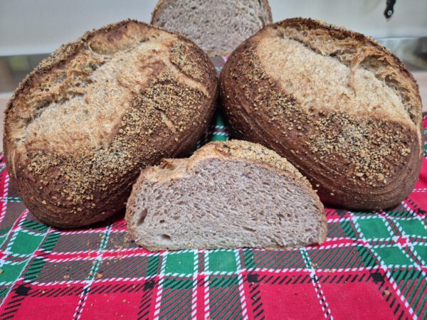 Französisches Bauernbrot – Pain de Campagne mit Lauge & Salz-Pfeffer-Kruste - Backtag 11.07.2025
